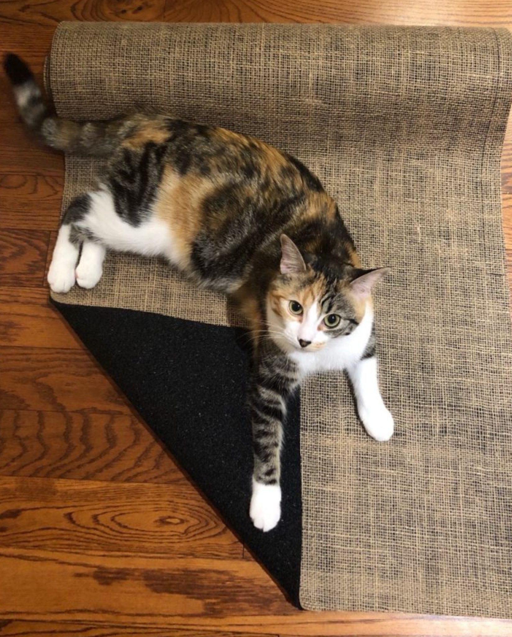 pet safe underpads Luxury-Pad